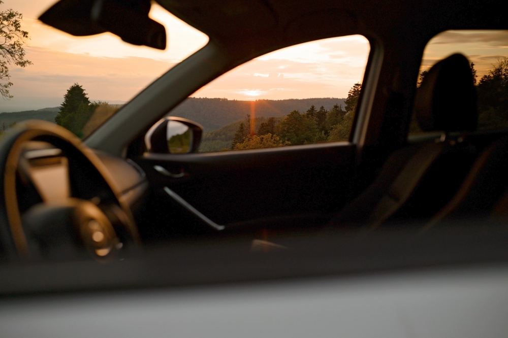 Assistance krotkoterminowe